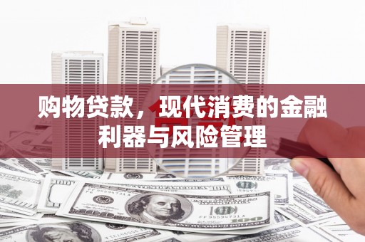 安定购物贷款，现代消费的金融利器与风险管理