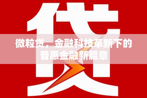 安定微粒贷，金融科技革新下的普惠金融新篇章