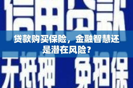 安定贷款购买保险，金融智慧还是潜在风险？