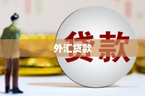 安定外汇贷款
