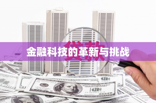 安定金融科技的革新与挑战