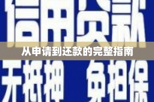 安定从申请到还款的完整指南