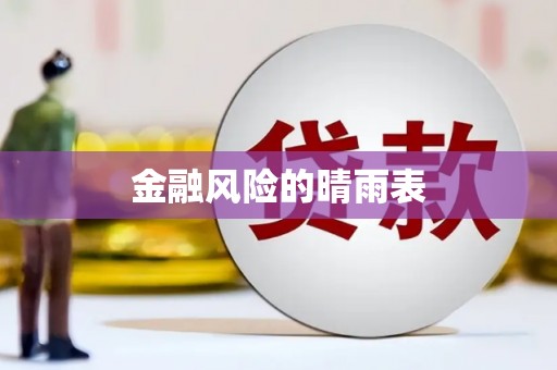 安定金融风险的晴雨表