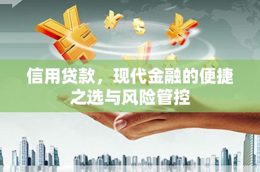 安定信用贷款，现代金融的便捷之选与风险管控