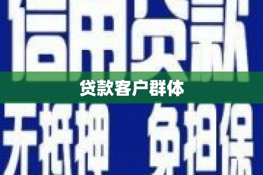 安定贷款客户群体