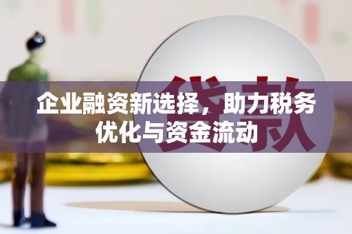 安定企业融资新选择，助力税务优化与资金流动