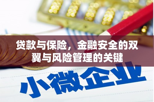 安定贷款与保险，金融安全的双翼与风险管理的关键