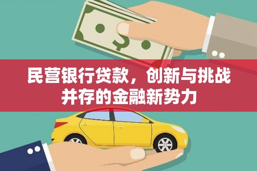 安定民营银行贷款，创新与挑战并存的金融新势力