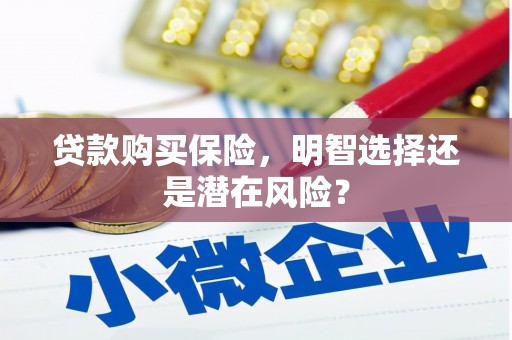 安定贷款购买保险，明智选择还是潜在风险？