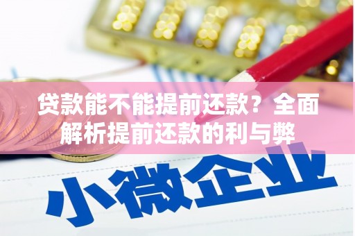 安定贷款能不能提前还款？全面解析提前还款的利与弊