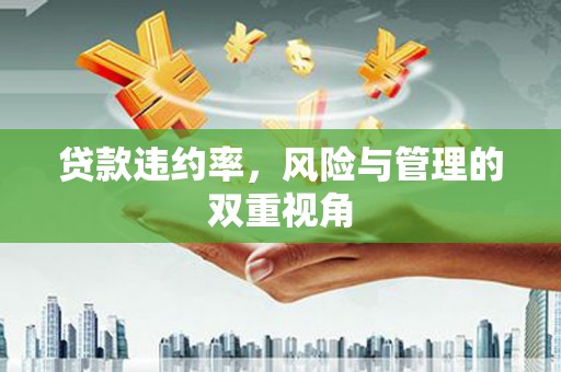 安定贷款违约率，风险与管理的双重视角