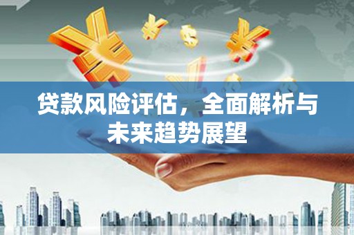 安定贷款风险评估，全面解析与未来趋势展望