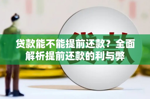 安定贷款能不能提前还款？全面解析提前还款的利与弊