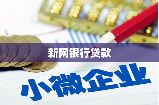 安定新网银行贷款