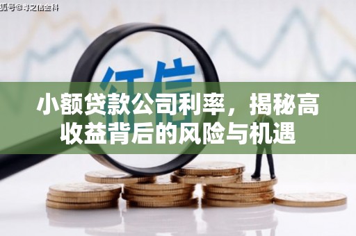 安定小额贷款公司利率，揭秘高收益背后的风险与机遇