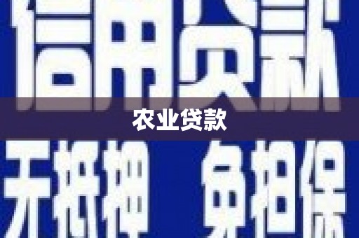 安定农业贷款