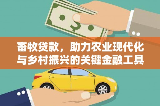 安定畜牧贷款，助力农业现代化与乡村振兴的关键金融工具