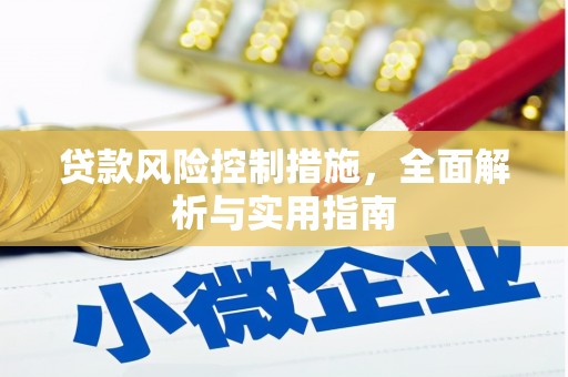 安定贷款风险控制措施，全面解析与实用指南