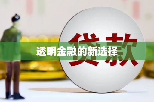 安定透明金融的新选择