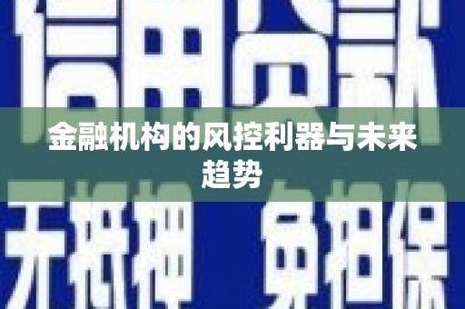 安定金融机构的风控利器与未来趋势