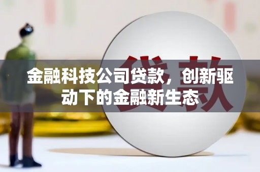 安定金融科技公司贷款，创新驱动下的金融新生态