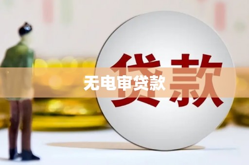 安定无电审贷款