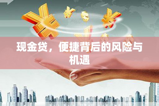 安定现金贷，便捷背后的风险与机遇