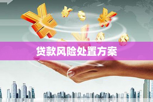 安定贷款风险处置方案