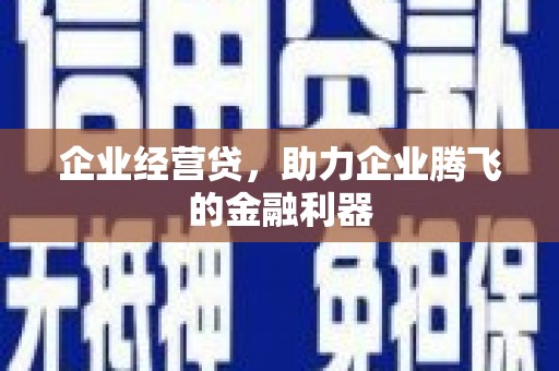 安定企业经营贷，助力企业腾飞的金融利器
