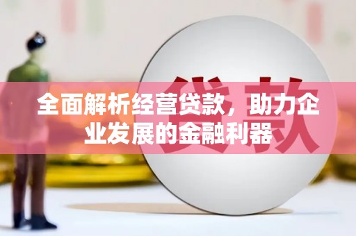 安定全面解析经营贷款，助力企业发展的金融利器