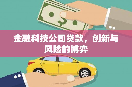安定金融科技公司贷款，创新与风险的博弈