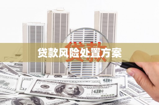 安定贷款风险处置方案