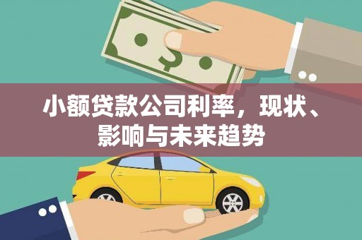 安定小额贷款公司利率，现状、影响与未来趋势