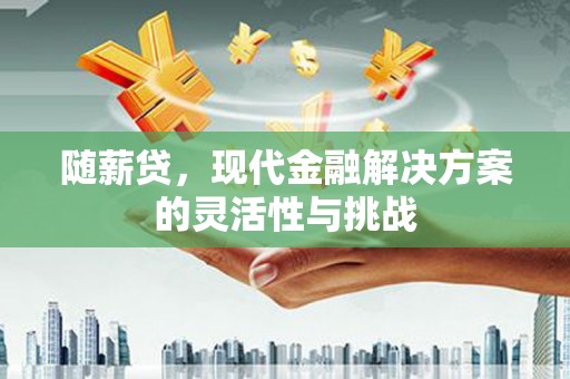 安定随薪贷，现代金融解决方案的灵活性与挑战
