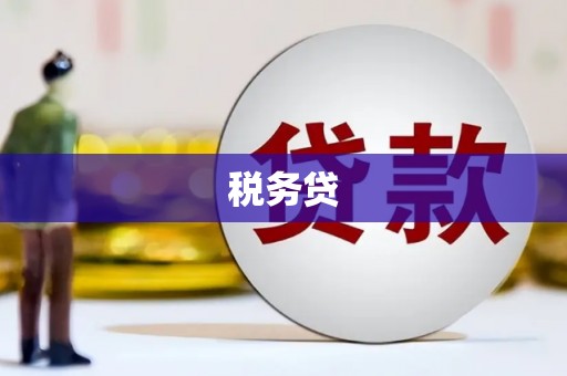 安定税务贷