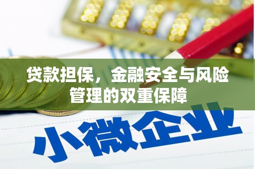 安定贷款担保，金融安全与风险管理的双重保障