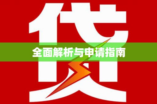 安定全面解析与申请指南