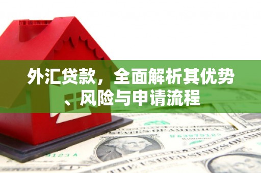安定外汇贷款，全面解析其优势、风险与申请流程