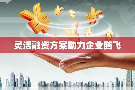 安定灵活融资方案助力企业腾飞