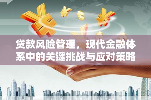 安定贷款风险管理，现代金融体系中的关键挑战与应对策略