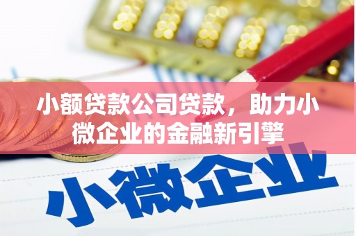 安定小额贷款公司贷款，助力小微企业的金融新引擎
