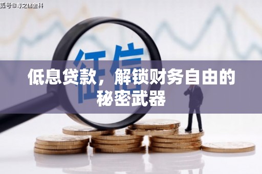 安定低息贷款，解锁财务自由的秘密武器