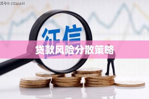 安定贷款风险分散策略
