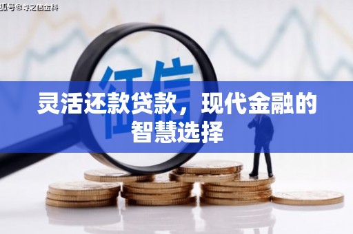安定灵活还款贷款，现代金融的智慧选择