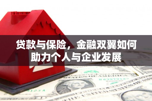 安定贷款与保险，金融双翼如何助力个人与企业发展
