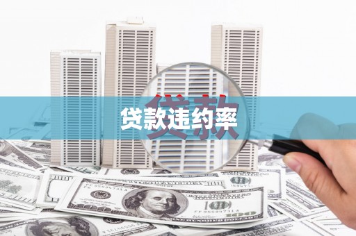 安定贷款违约率