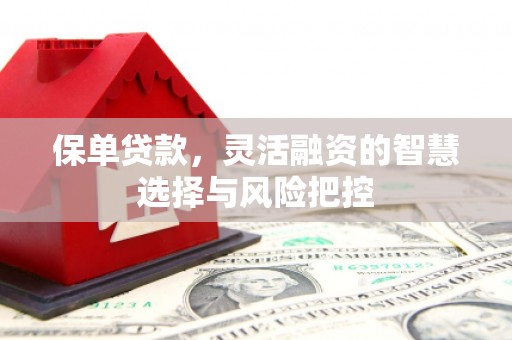 安定保单贷款，灵活融资的智慧选择与风险把控