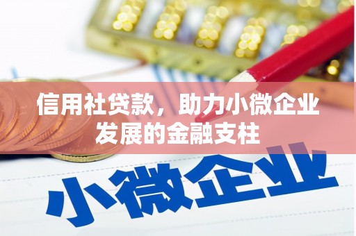 安定信用社贷款，助力小微企业发展的金融支柱