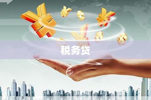 安定税务贷