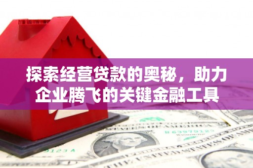 安定探索经营贷款的奥秘，助力企业腾飞的关键金融工具